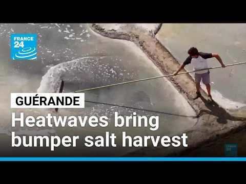 France’s heatwaves bring bumper salt harvest in Guérande