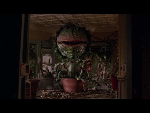 Little Shop of Horrors (Workprint VS Director's Cut Ending)