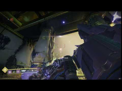 Auto-reloading in Shadowkeep (Post nerf)