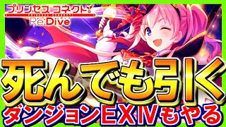 ハロウィンツムギ出るまで回す＆新ダンジョンチャレンジ【プリンセスコネクト！Re:Dive】