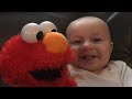 Baby Loves Tickle Me Elmo