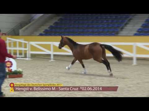 KN 03 v. Bellissimo - Santa Cruz