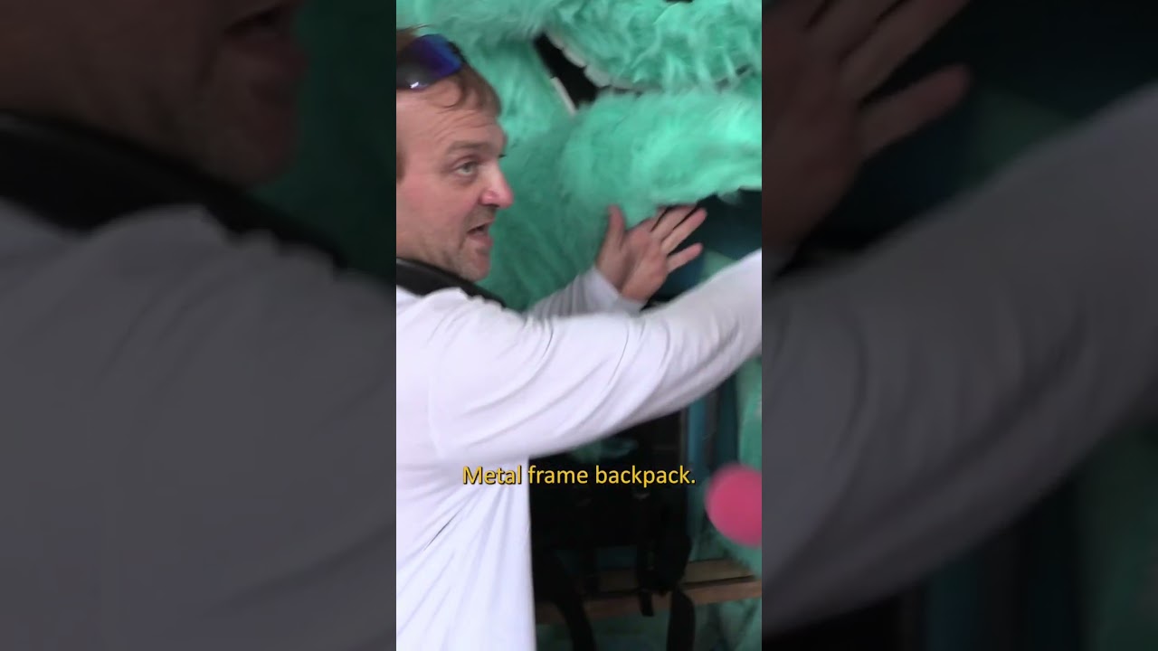 Sully from Monsters Inc. Costume