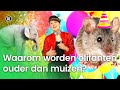 Waarom worden olifanten ouder dan muizen? | Waarom? Daarom!