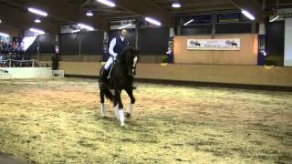 Video of Don Diamond