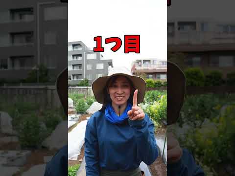 菜園と組み合わせてはいけない植物はどれですか?悪い関連付けの完全なリスト  庭園
