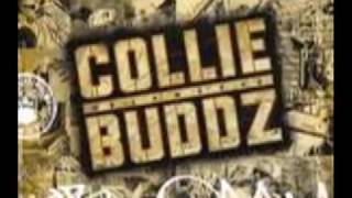 Collie Buddz - Blind To You