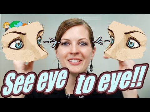 Englisch Redewendung 33/100: See eye to eye