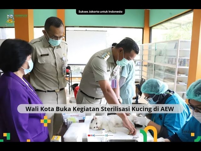 WALIKOTA JS BUKA KEGIATAN STERILISASI KUCING GRATIS 