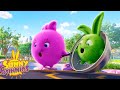 SUNNY BUNNIES Saving Hopper Season 2 Cartoons For Kids