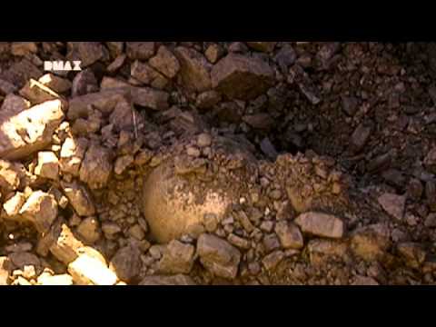 Com'è fatto - cemento