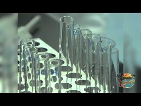 Click to Watch the Can you really contract the flu by taking the vaccine?: Everything you need to know about this year's flu vaccine video