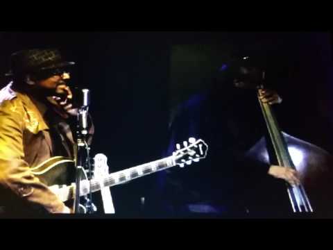 Spike Rebel - Rhizome' Trio  (jazzy/funky soul)