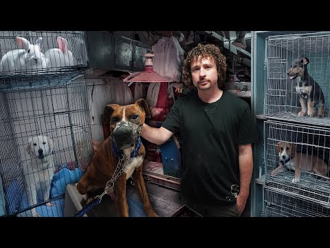 INTRO