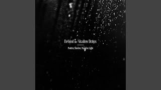 Positive Shadow, Negative Light