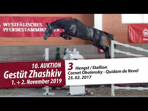03 Hengst / Stallion v. Cornet Obolensky - Quidam de Revel
