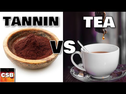 Black Tea VS Wine Tannin - NON DEFINITIVE One Year Test