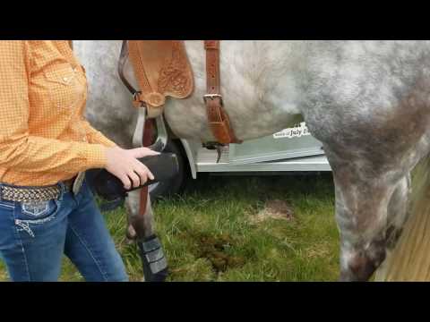 Essential Equipment for Barrel Racers