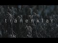 Diary of Dreams - tränenklar