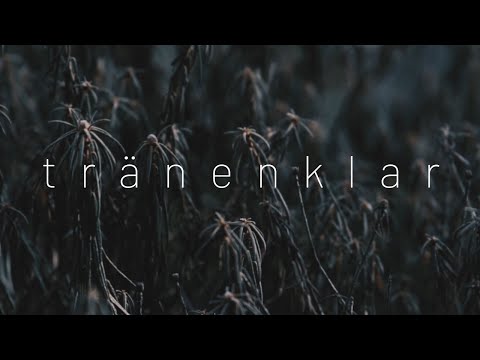 Video thumbnail for Tränenklar