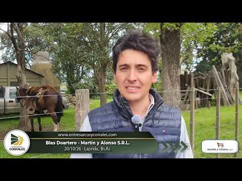 20-10-26 - Blas Doartero - Martín y Alonso S.R.L - Laprida, Bs.As.