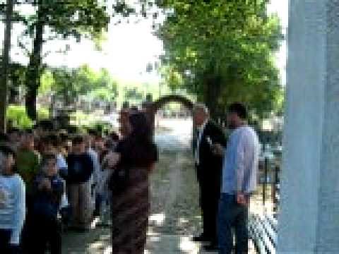 voislav  ilic mladji  pesnik