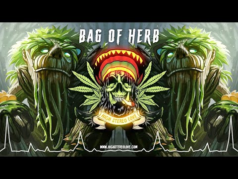 Richie Culture - Bag of Herb 🍁  (Roots Reggae 2022 / Dub / Lyric Video)