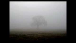 Lost (In the Mist)
