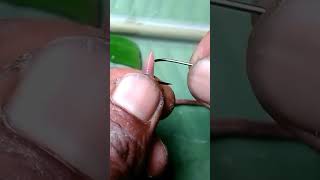 Download lagu cara pasang umpan cacing mp3