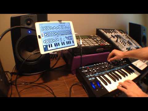 Kronecker Clockwork Synthesizer - iOS App Review - Midiverse - TV