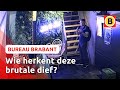 Fooienpot GESTOLEN uit café in Deurne | Bureau Brabant