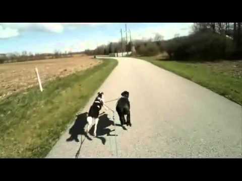 River and BlackJack Scooter 4/2/16