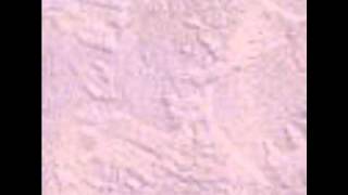 Nat King Cole Nat&#39;s Christmas Wishes