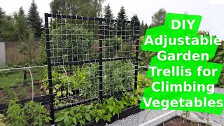 DIY Adjustable Garden Trellis for Climbing Vegetables