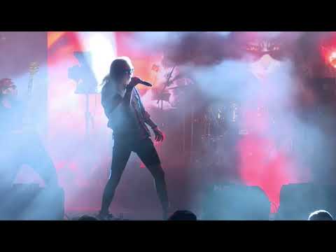 Pislick Kedi - İzmir Açıkhava