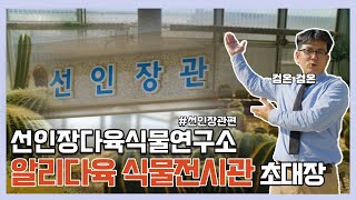EP.6 온라인전시관 선인장관 인터뷰!