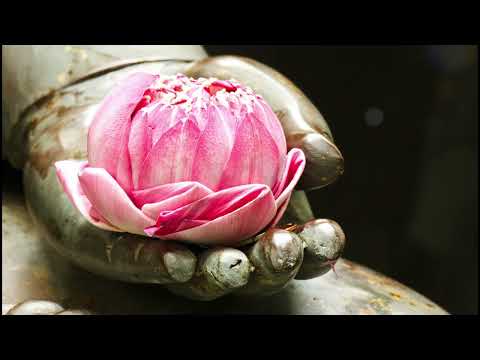 Restful Soul | Buddha's Flute