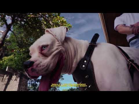 11. Xlly - ALIBABA FREESTYLE [Prod. ATLAS] #brazilliandrilldeluxe