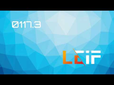 LEIF 0117.3