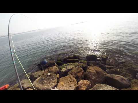 greys platinum xd fly rod for sale