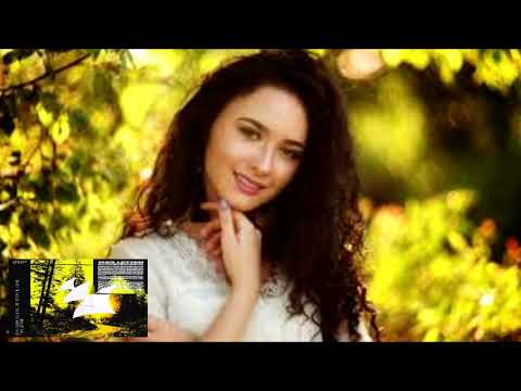 Standerwick & Tensteps & Nohc - This Letter (Extended Mix)