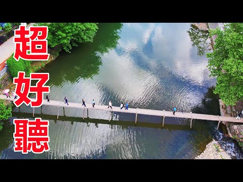 終於找到《薔薇團長》這首情歌，太撕心裂肺了，唱的千萬人一把鼻涕一把淚，太好聽了！給生活加點糖