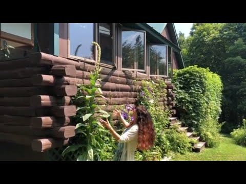 Mullein - A Walk in the Garden with Herbalist Rosemary Gladstar