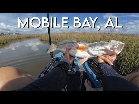 Rotbarschfischen in der Mobile Bay, Alabama