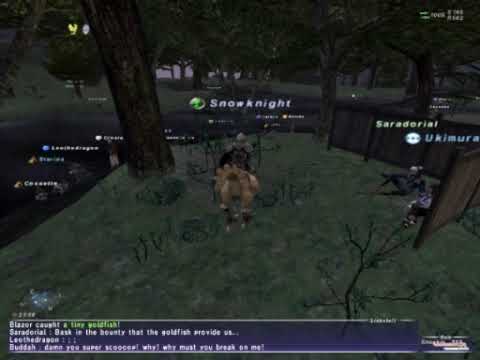 Final Fantasy XI PC gameplay footage - wandering around West Ronfaure