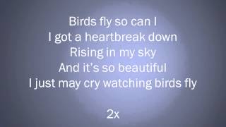 Hardwell Feat. Mr. Probz - Birds Fly Lyrics Video