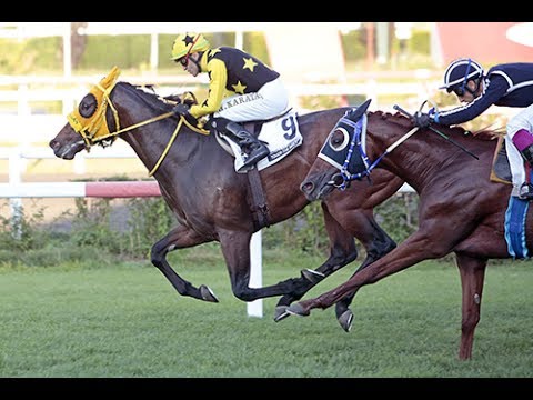 Haliç Koşusu (Grup - 1) 23/06/2017