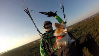 preview picture of video 'Paragliding papillon'