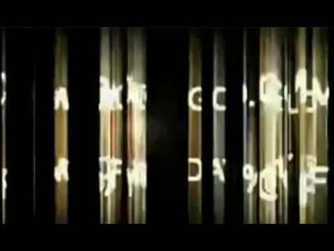 BLACK FRIDAY GROWSHOP POWERCOGOLLO.COM