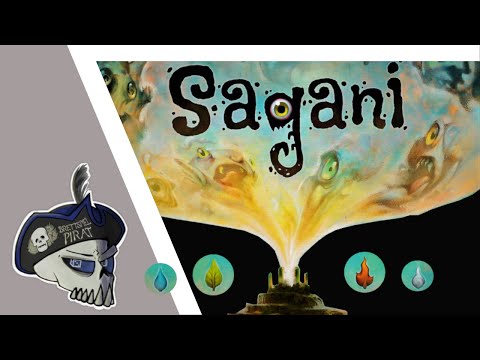 Sagani einfach erklärt / Fazit Sagani oder Nova Luna?